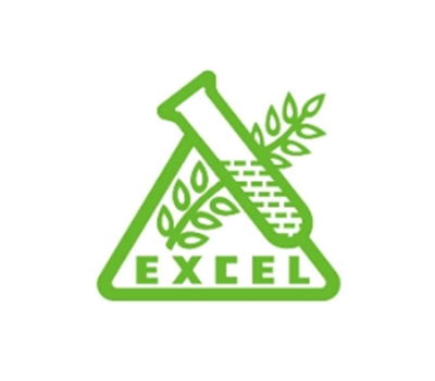 excel logo