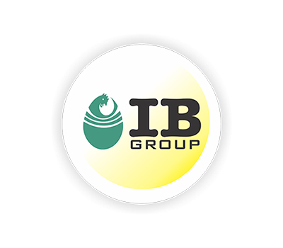 ib group logo